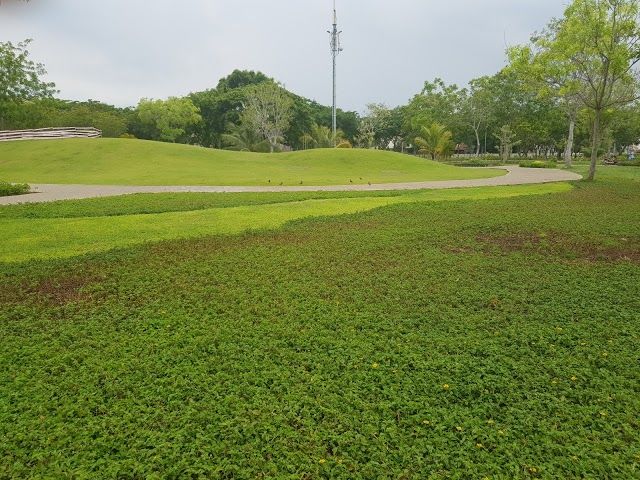 Starlight Köprüsü